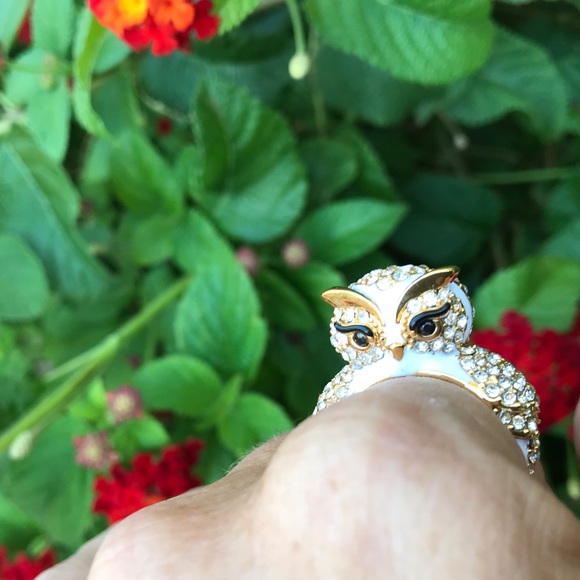 kate spade Jewelry - Kate Spade Pave/Ceramic Owl Ring